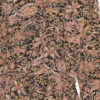 Catchell soepelvallend shirt met print