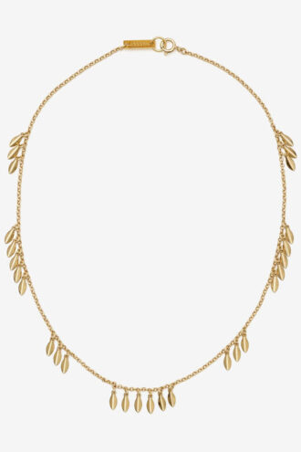 Metalen glanzende bladchoker